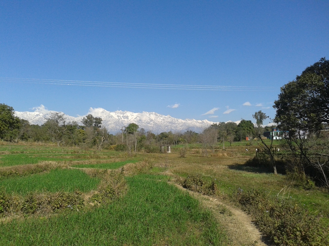 A view of the Himalayas from the village of Sunhi.
